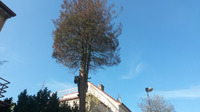 Malvazinky, Praha 5